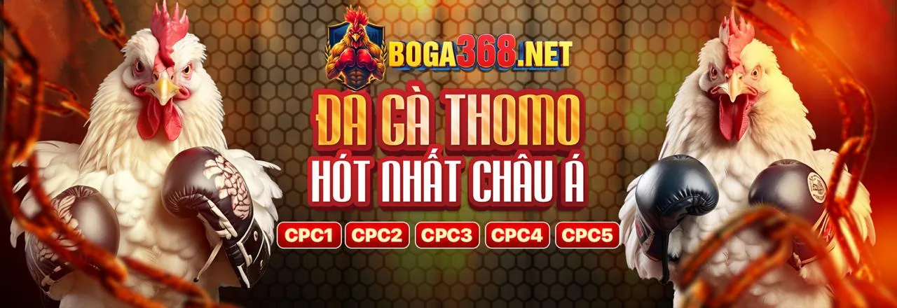 Sảnh Đá Gà Trực Tiếp EU9VN
